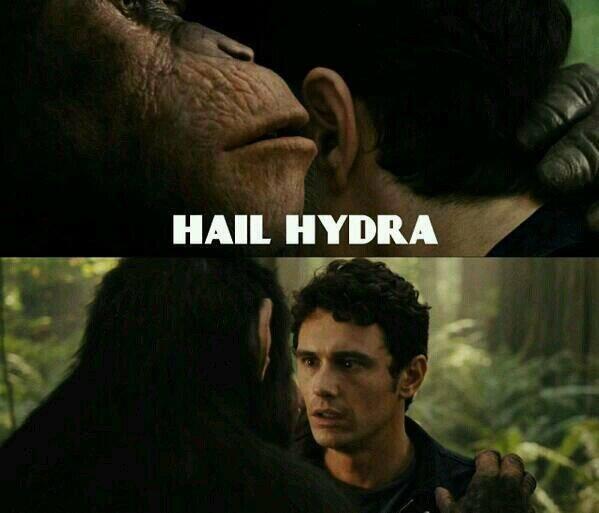 Captain America 2 Creates Meme Frenzy