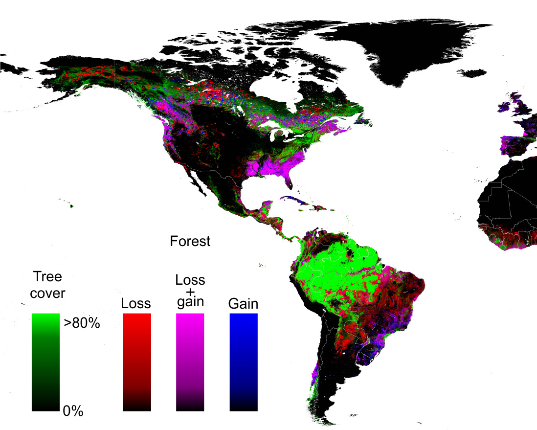 Google Maps Global Forestry Changes