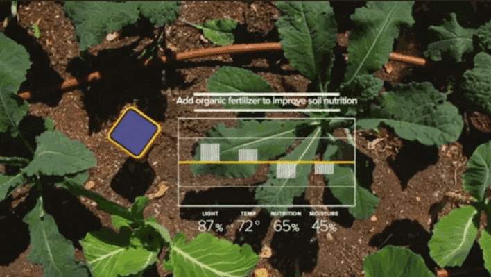 Edyn Makes You Grow The Perfect Garden