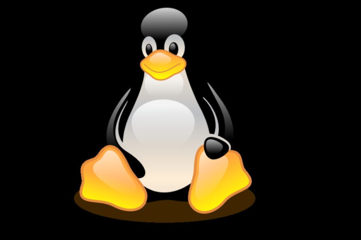 Samsung Galaxy With Linux Via DeX
