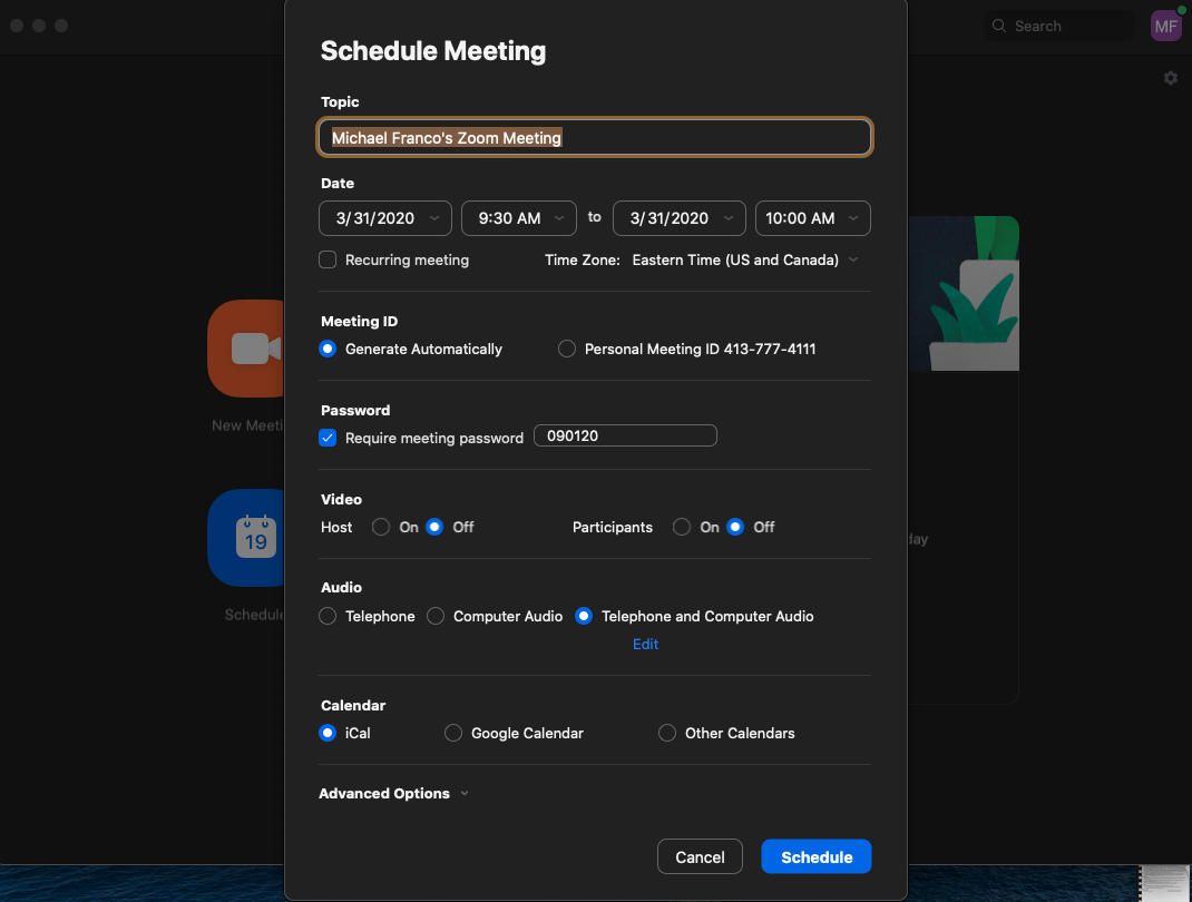 Zoom meetings