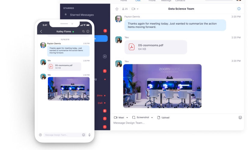 Zoom Cloud Meetings: 2020 Review